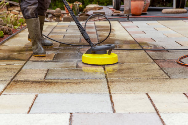 Best Roof Cleaning and Mildew Removal in Lakefield, MN